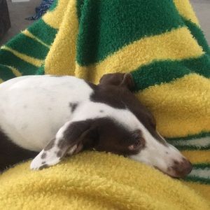 Meet your Posher, Tom